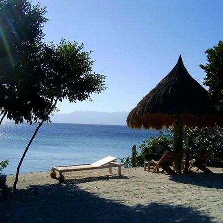 Hotel Sea Turtle House Moalboal Esterno foto