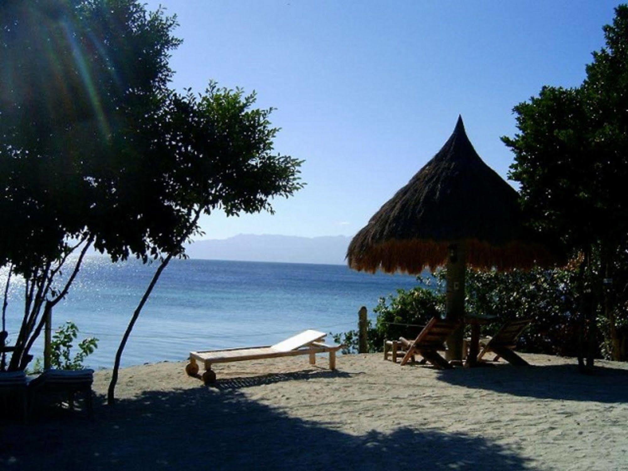 Hotel Sea Turtle House Moalboal Esterno foto