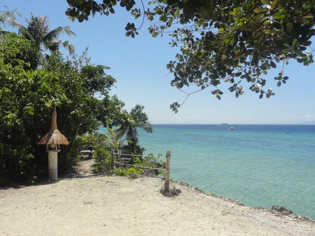 Hotel Sea Turtle House Moalboal Esterno foto